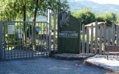 Il Comune di Darfo cerca un nuovo gestore per il parco di Luine