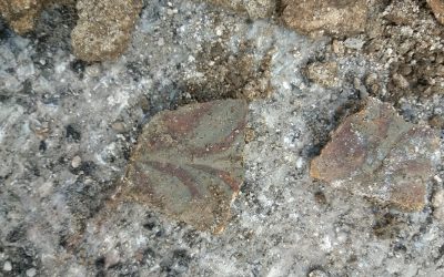 Riaffiorati materiali archeologici e resti di strutture di età romana durante dei lavori di scavo a Malegno