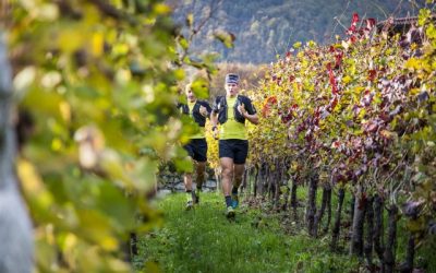 La Valle dei Segni Wine Trail sarà “carbon neutral”