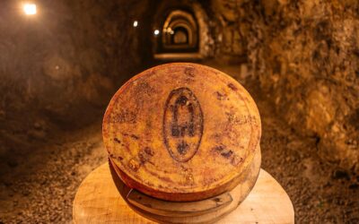 Il Bré ha ricevuto il premio speciale come “Miglior formaggio di montagna 2022”